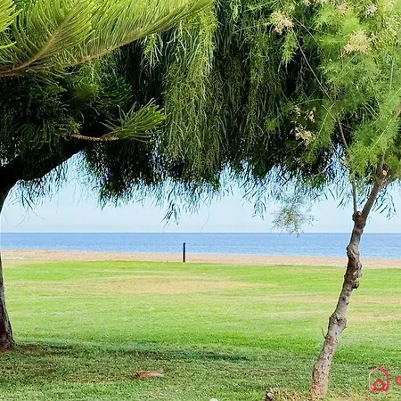 Verano De Ensueno Oropesa del Mar